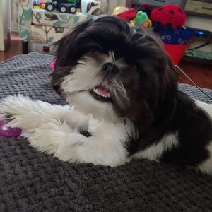 Posh Ambassador 🙋♀️🎉👗👡🩴👜👙💕